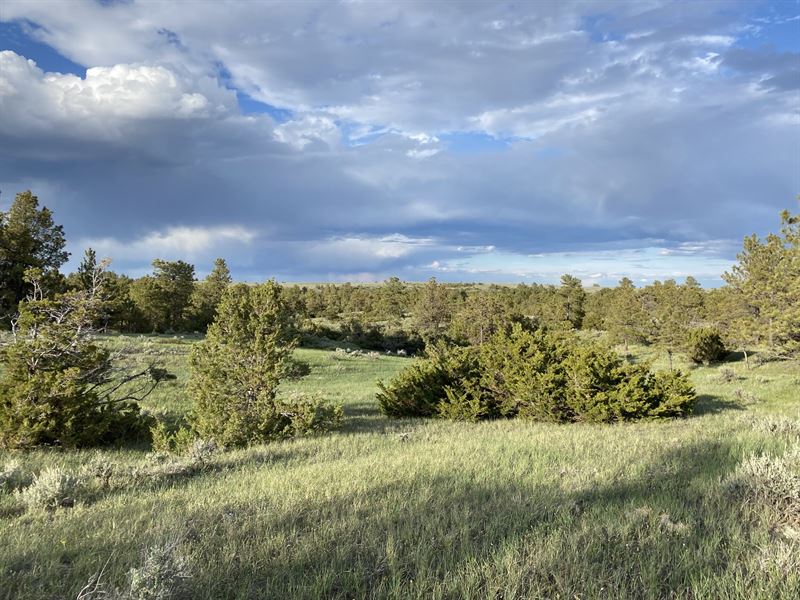 Ponderosa & Prairie Breaks : Lewistown : Fergus County : Montana