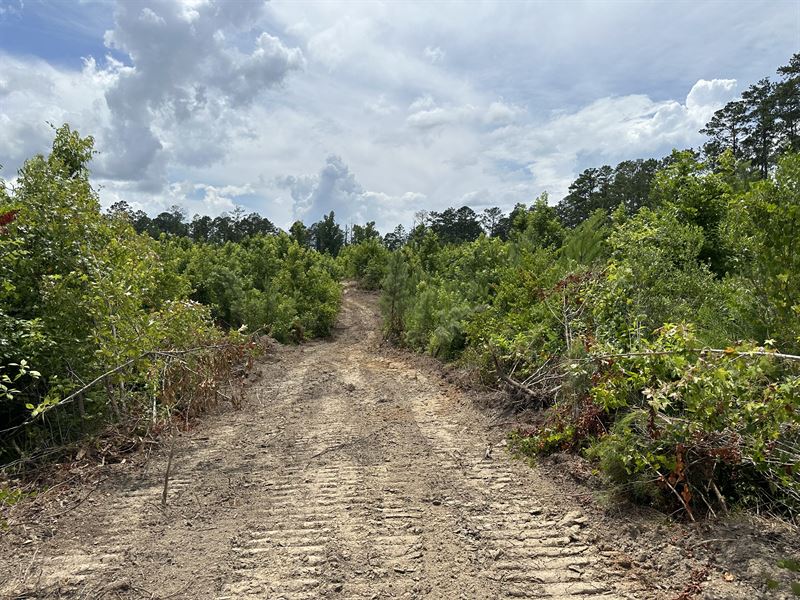 Firetower Road Lot 1 : Greenville : Butler County : Alabama