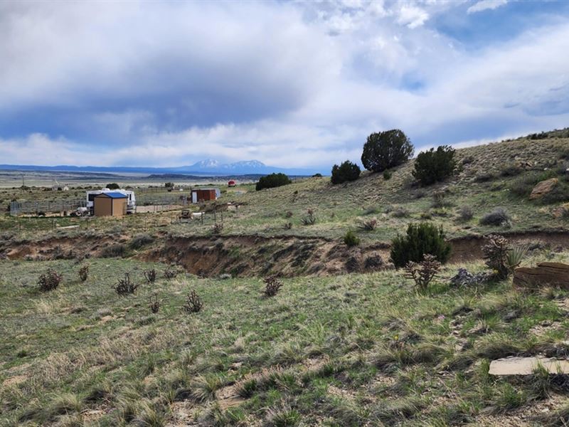 5895 Old Homestead Rd, Rye, Co 8106 : Rye : Pueblo County : Colorado