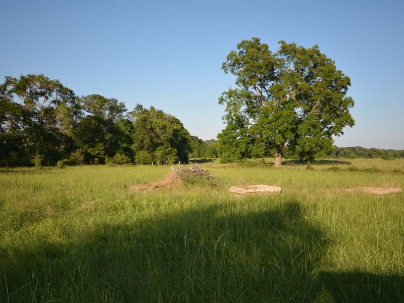 20 Acres, Houston Co : Crockett : Houston County : Texas