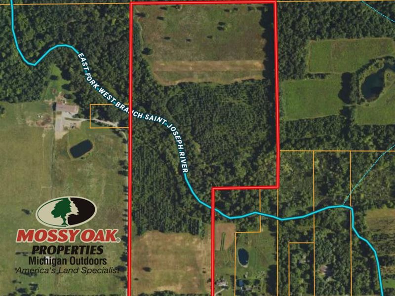 67 Acres / Hillsdale County, MI : Reading : Hillsdale County : Michigan