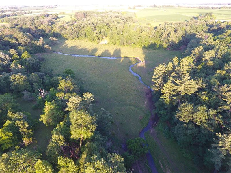 Enchanted Meadow : Livingston : Grant County : Wisconsin