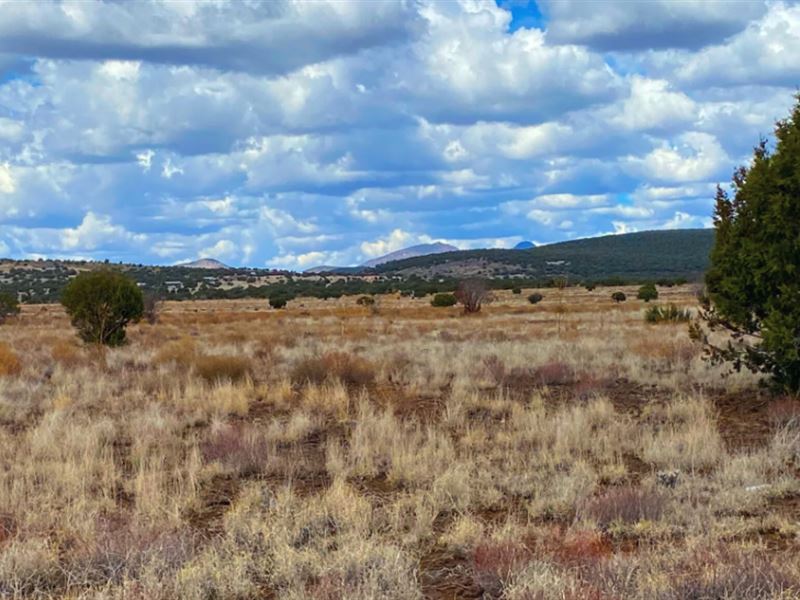 Beautiful 10 Northern Acres : Ash Fork : Yavapai County : Arizona