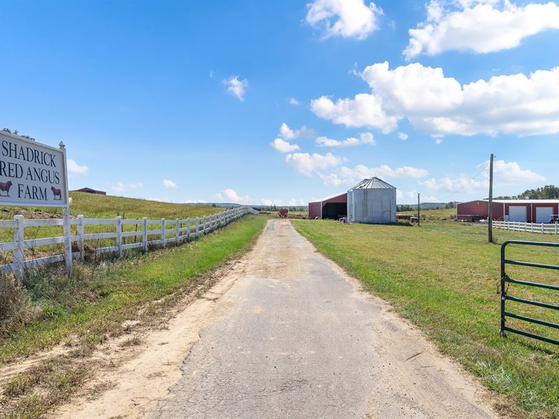 Turn-Key Premier Cattle Farm in KY : Nebo : Hopkins County : Kentucky