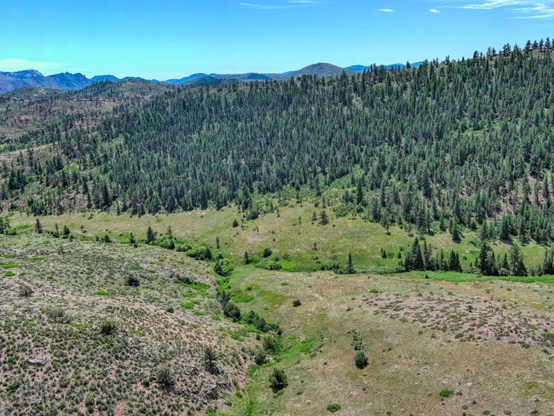 MT Simon Road : Livermore : Larimer County : Colorado