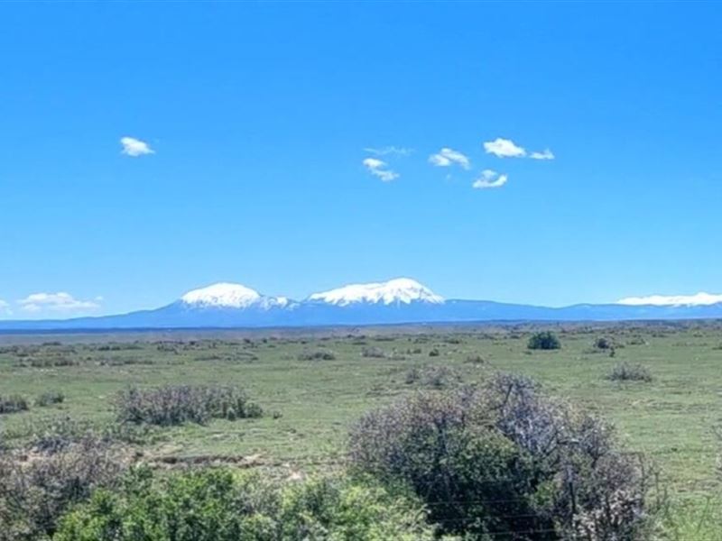 11 Colorado Land & Livestock : Walsenburg : Huerfano County : Colorado