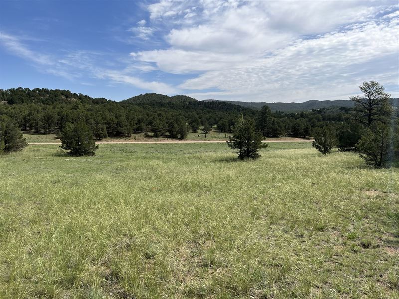 Iron Mountain Wilderness : Cotopaxi : Fremont County : Colorado