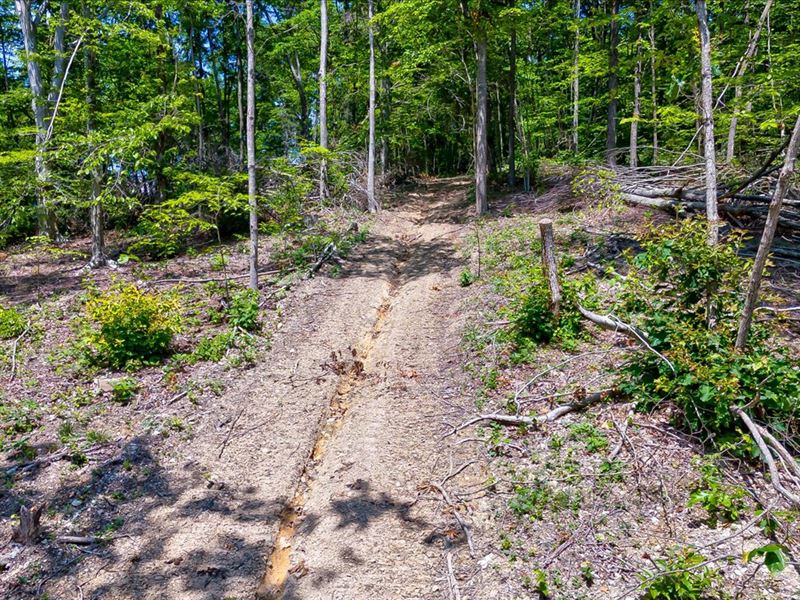 25.63 Unrestricted Wooded Acres : Washburn : Grainger County : Tennessee