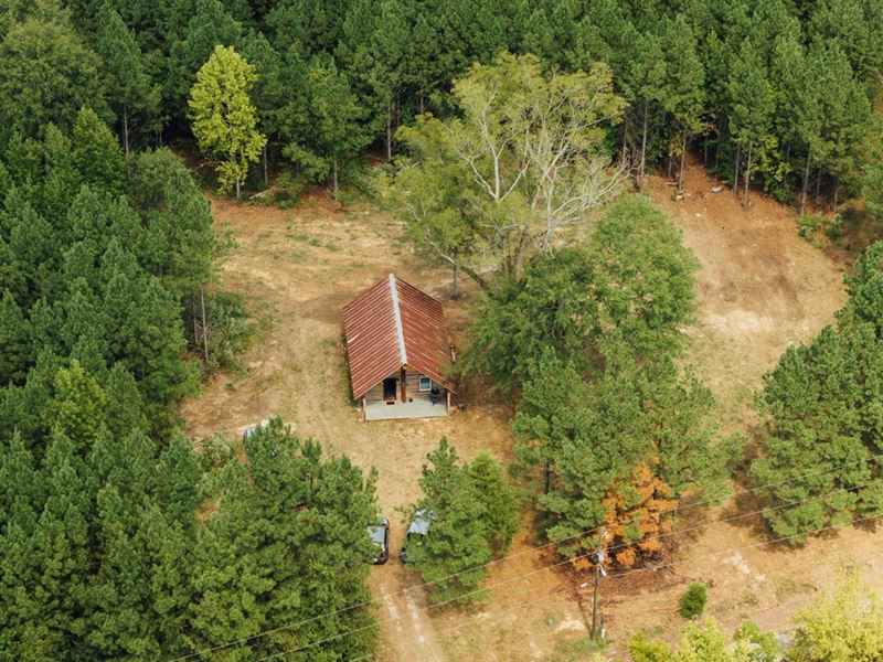 106 Acres with A Cabin in Lamar Cou : Millport : Lamar County : Alabama