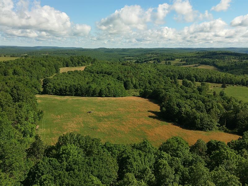 102 Acres in The Heart of Arkansas : Leslie : Van Buren County : Arkansas