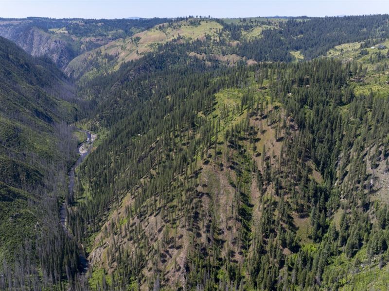 Forest Garden, Parcel 4 : Weippe : Clearwater County : Idaho