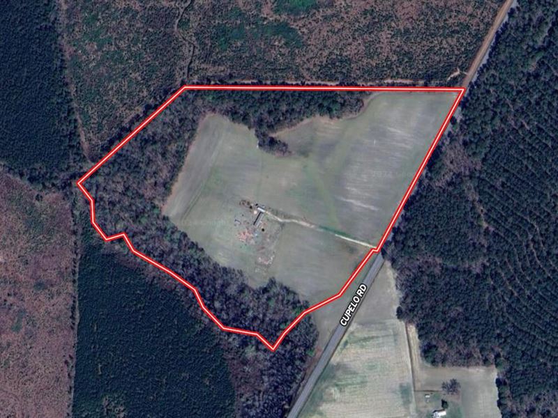 38 Acres of Farm : Walstonburg : Greene County : North Carolina