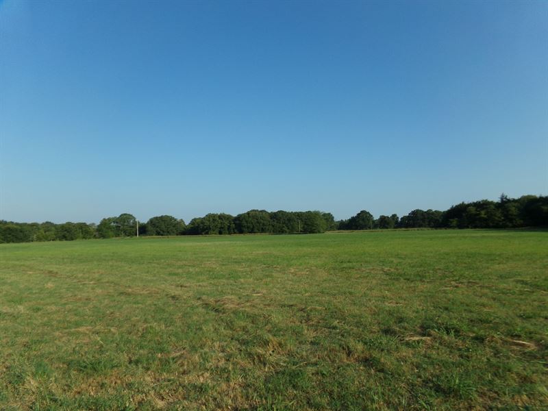 Country Acreage for Sale, Bagwell : Bagwell : Red River County : Texas