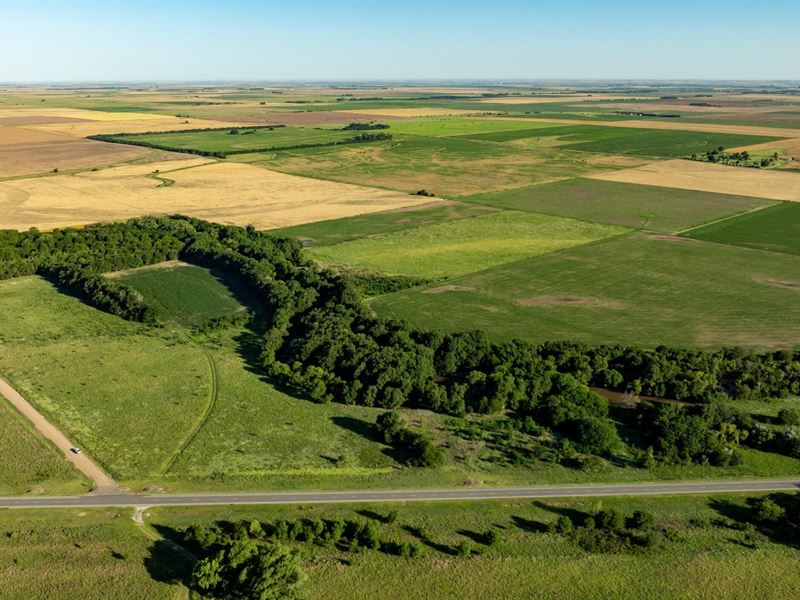 Coon Creek Honey Hole : Garfield : Pawnee County : Kansas