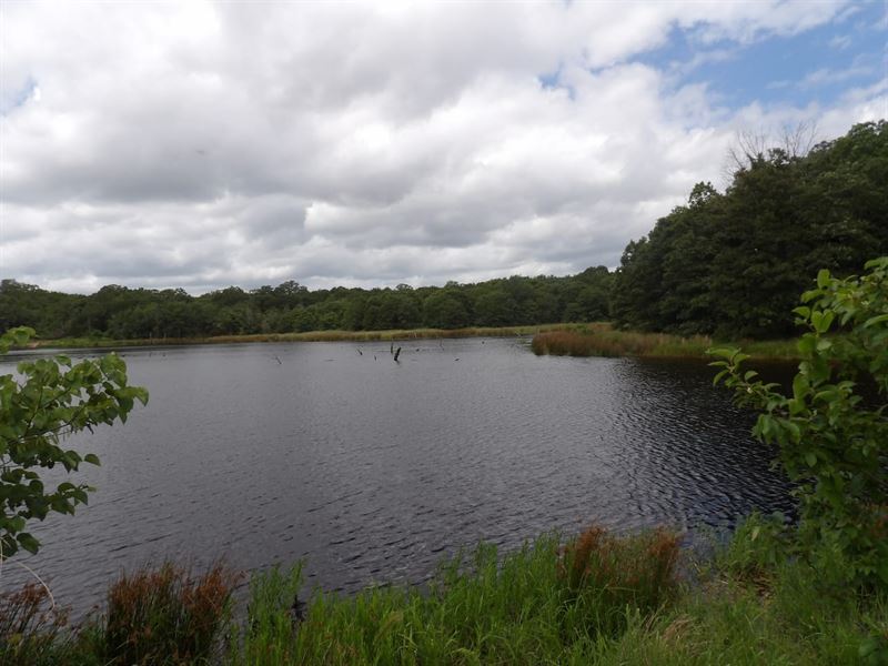 120 Acres Ranch / Recreational : Coleman : Atoka County : Oklahoma