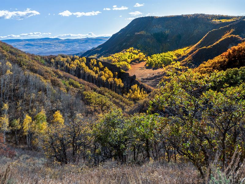 Springer Ranch : Hayden : Routt County : Colorado