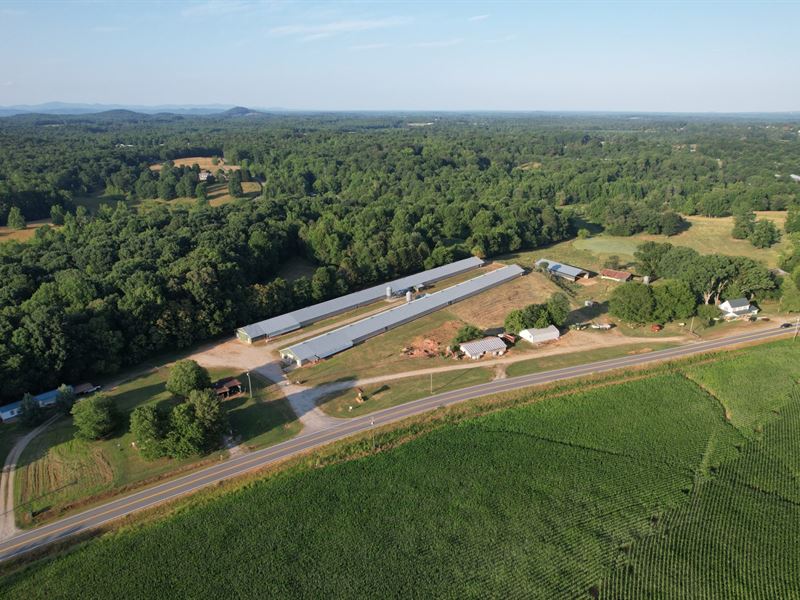 Della Breeder Farm : Cleveland : White County : Georgia