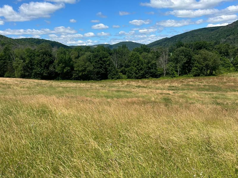 Tioga County, Crance Brook Rd : Westfield : Tioga County : Pennsylvania