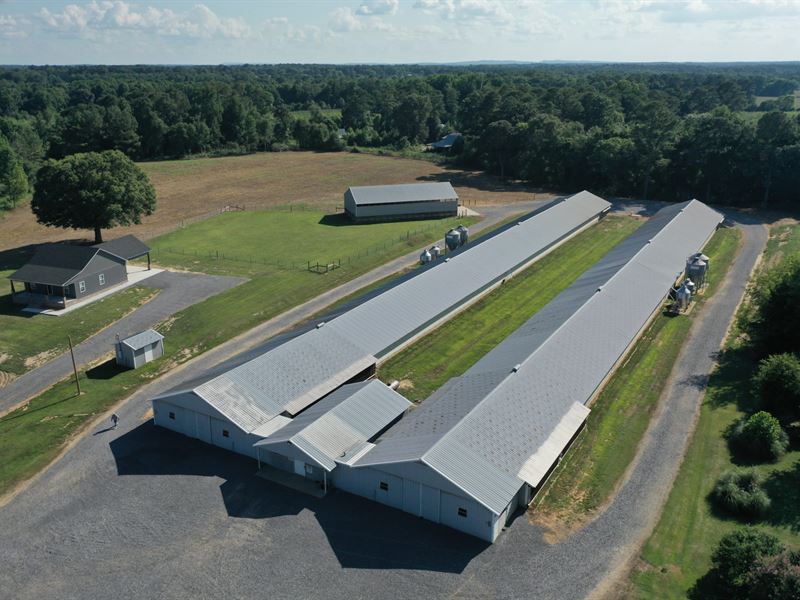 Top Notch Breeder Farm : Crossville : Dekalb County : Alabama