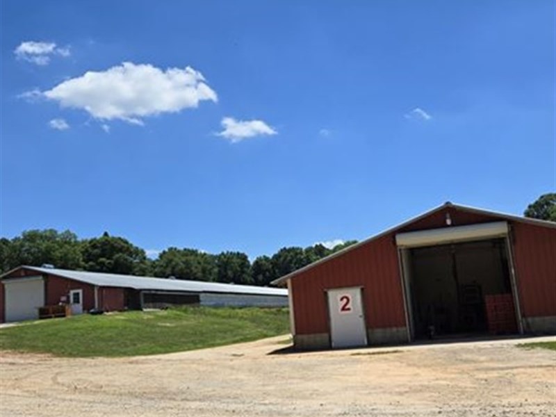 Organic 4 House Breeder Poultry Frm : Canon : Franklin County : Georgia