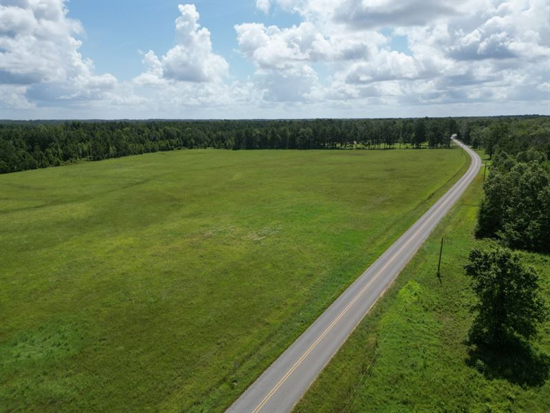 La, Caldwell 55 Acres : Grayson : Caldwell Parish : Louisiana