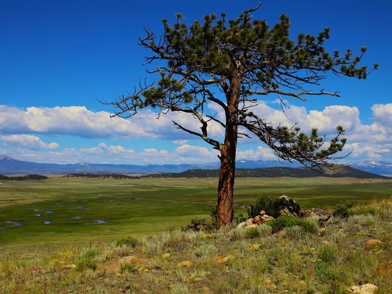 River View Ranch : Hartsel : Park County : Colorado