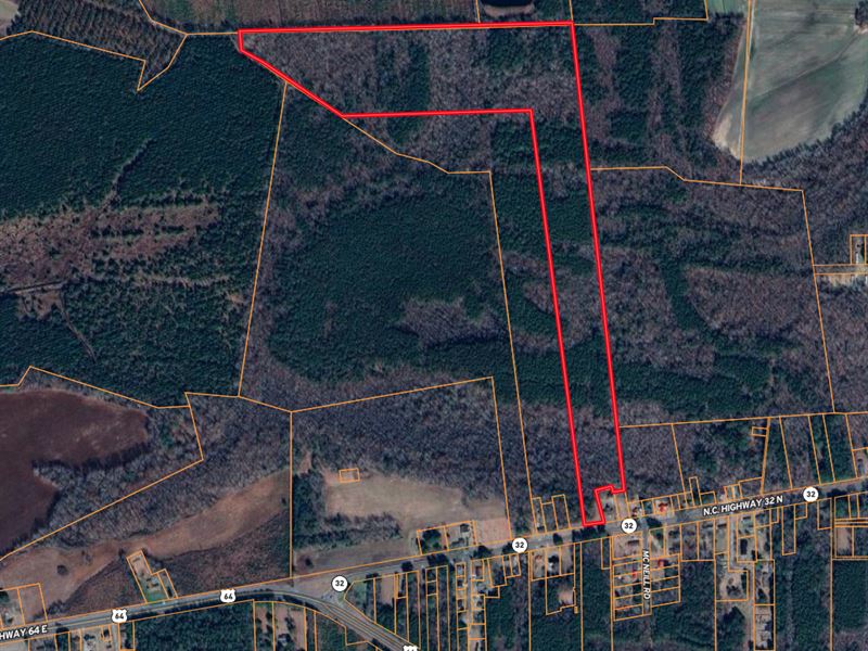 Prime 48.3 Acre Timber Tract in NC : Plymouth : Washington County : North Carolina