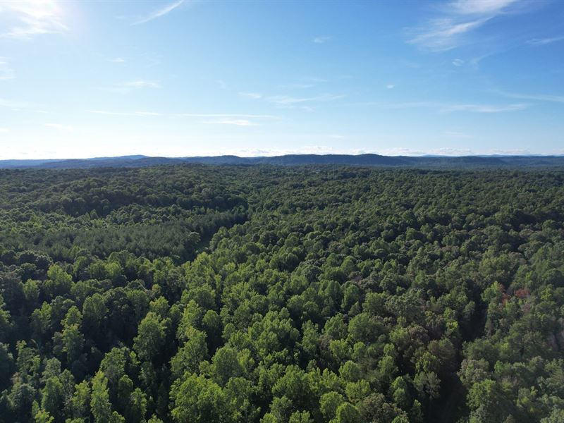 44 Acres, Franklin County, GA : Toccoa : Franklin County : Georgia