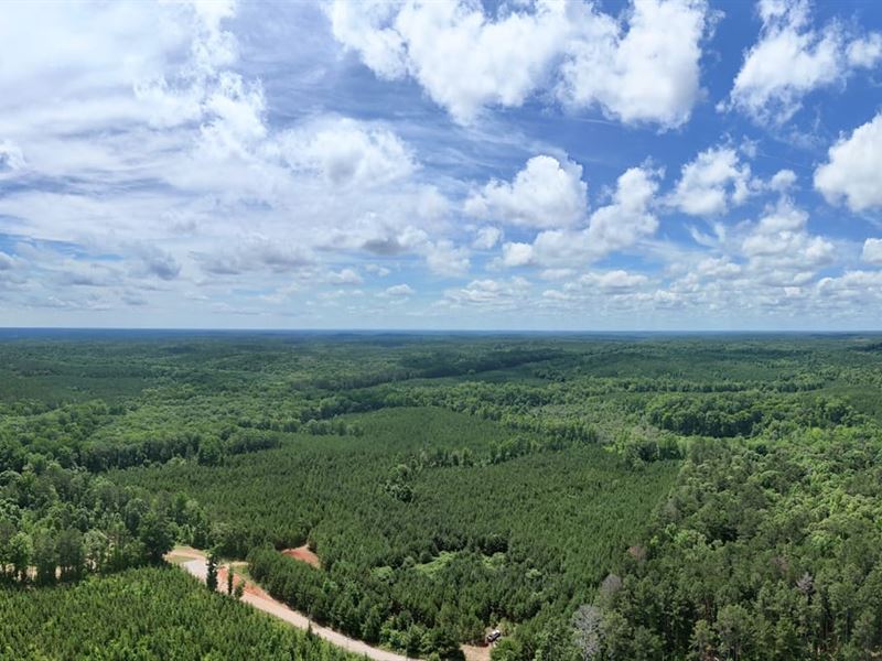 Hunting Land Minutes From West Poin : Franklin : Heard County : Georgia