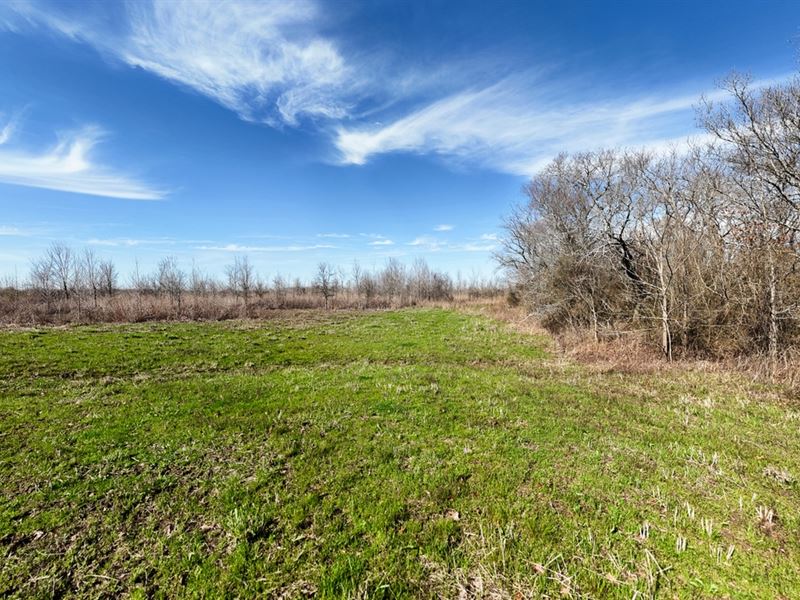 Highway 585 : Oak Grove : West Carroll Parish : Louisiana