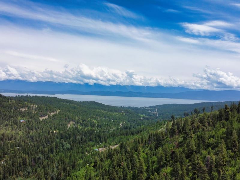 Blacktail Ridge : Lakeside : Flathead County : Montana