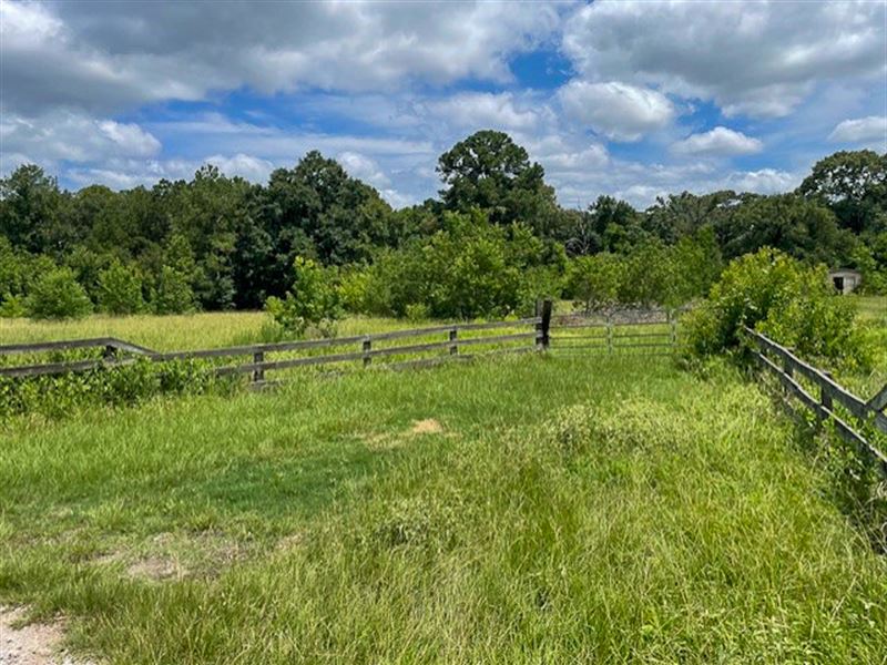 20 Acres, 103A Jenkins Road : Huntsville : Walker County : Texas