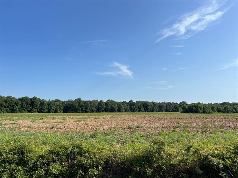 58.51 Acres in Franklin Parish, LA : Winnsboro : Franklin Parish : Louisiana