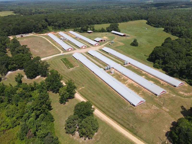 New Price, Lakeview Broiler Farm : Brundidge : Pike County : Alabama