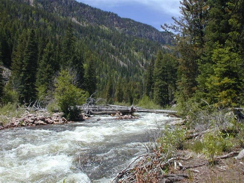 J/L Outfitting and Guiding : Whiterocks : Uintah County : Utah