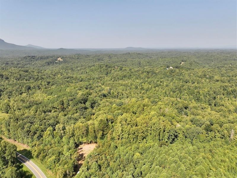 Updated, 18.54 Acres of Residenti : Danbury : Stokes County : North Carolina