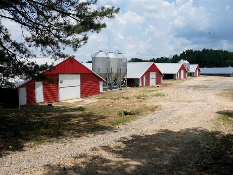 Mississippi Poultry Farm 6 House WI : Carthage : Neshoba County : Mississippi