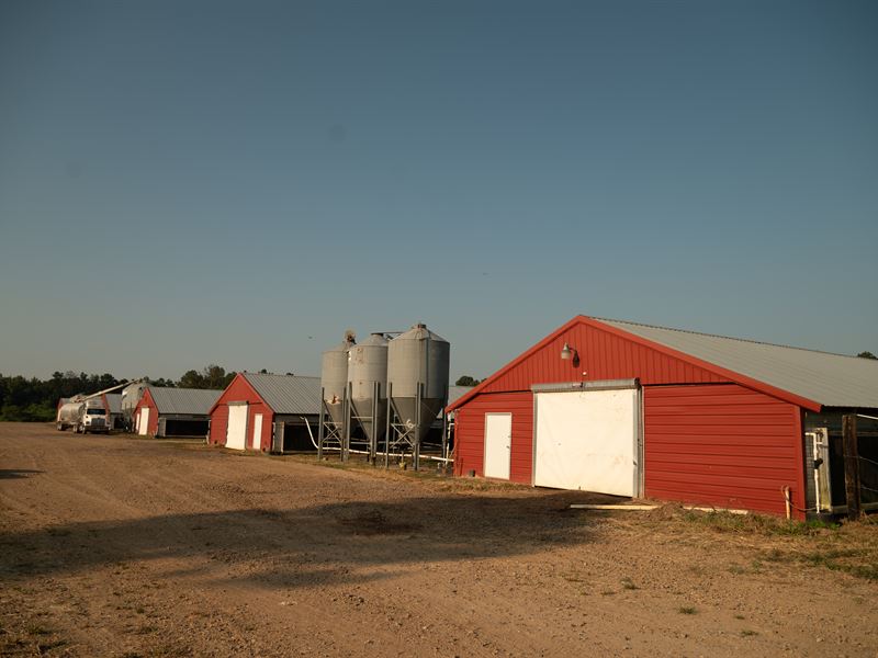 6 House Broiler Farm : State Line : Greene County : Mississippi