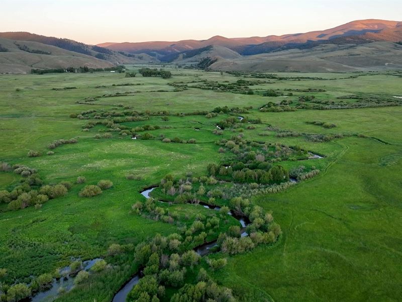 Elk Flats on Tomichi Creek : Gunnison : Gunnison County : Colorado