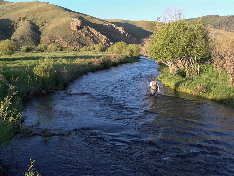 Trout Garden on Tomichi Creek : Gunnison : Saguache County : Colorado