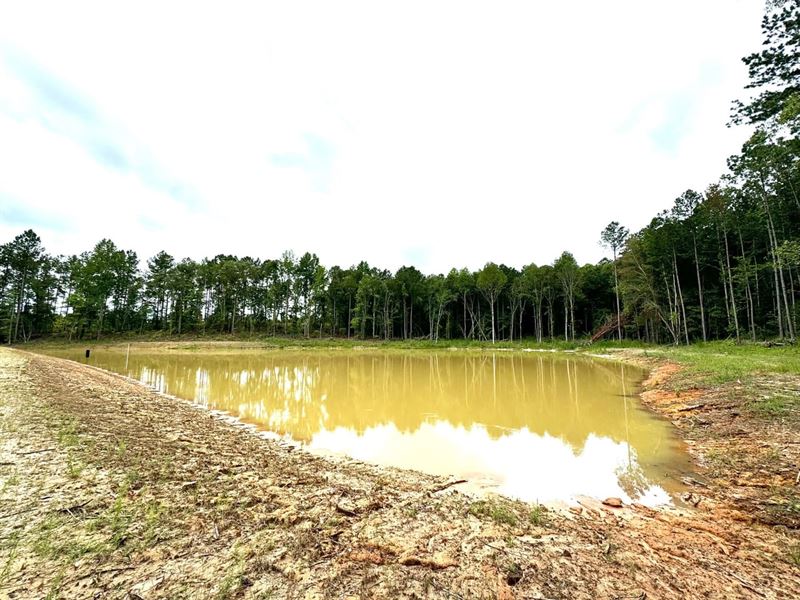 100 Acres and Newly Constructed Pon : Union Springs : Bullock County : Alabama