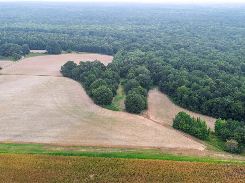 Grinnel Slough 45 : Gregory : Woodruff County : Arkansas