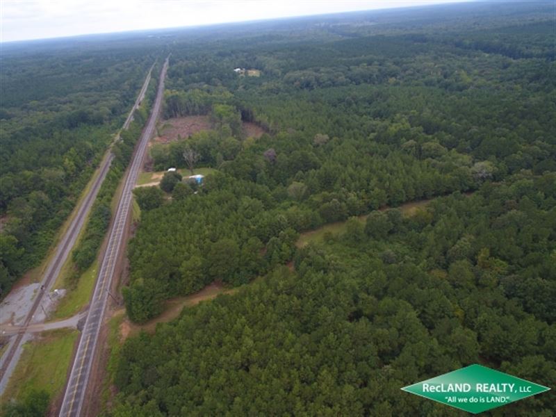 60 Ac Timber Tract for Home Sites : Choudrant : Lincoln Parish : Louisiana