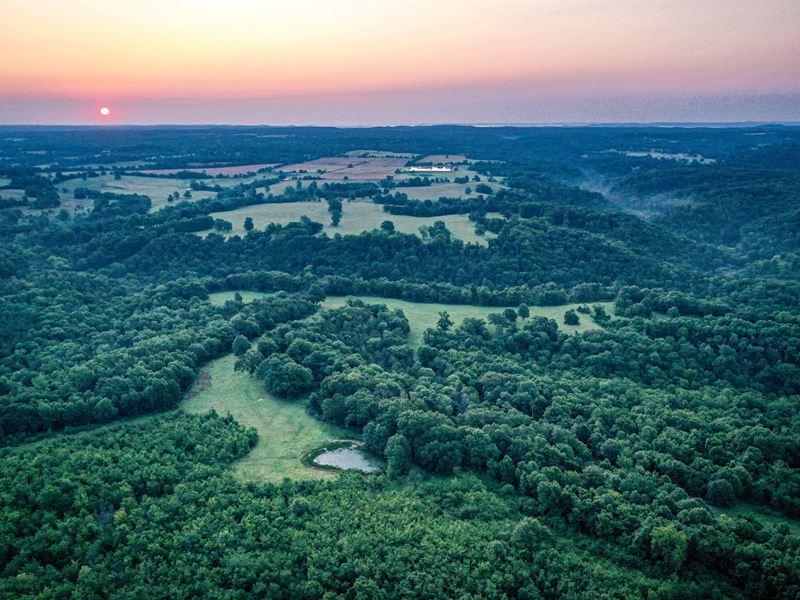 Lennox Mountain 230 : Seligman : Barry County : Missouri