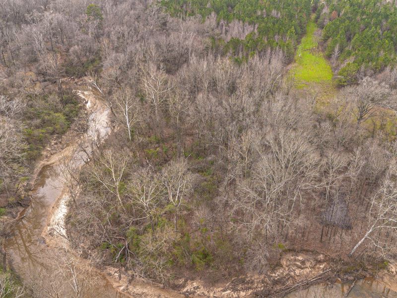 Timber and Hunting Near Jackson : Byram : Hinds County : Mississippi