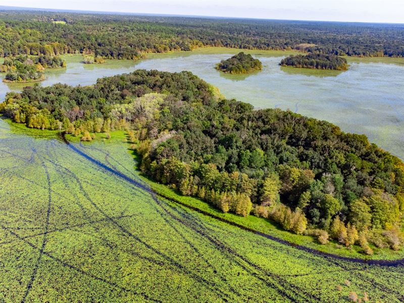 18 Ac Duck Hunting Island Paradise : Tallahassee : Leon County : Florida