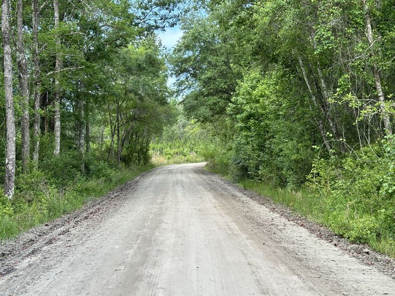 40 Ac Mini-Farm Madison Co, FL : Greenville : Madison County : Florida