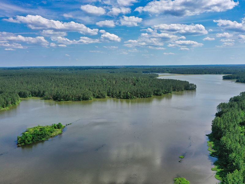 Rocky Creek North Lake : Ellisville : Jones County : Mississippi