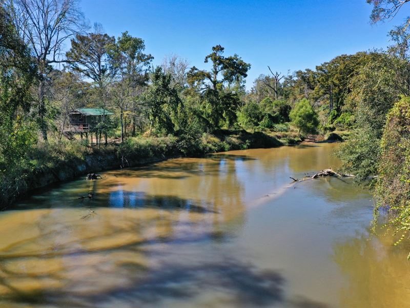 Tangipahoa River Frontage & Timber : Ponchatoula : Tangipahoa Parish : Louisiana