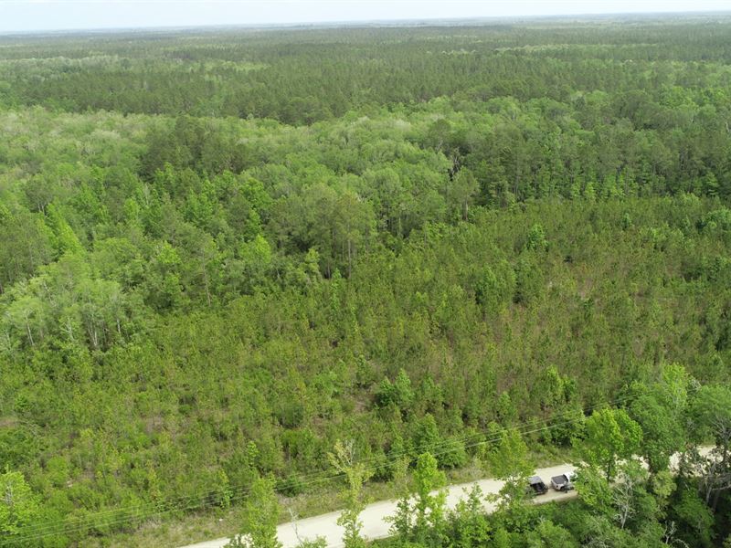 33 Ac Homesite Madison County : Greenville : Madison County : Florida